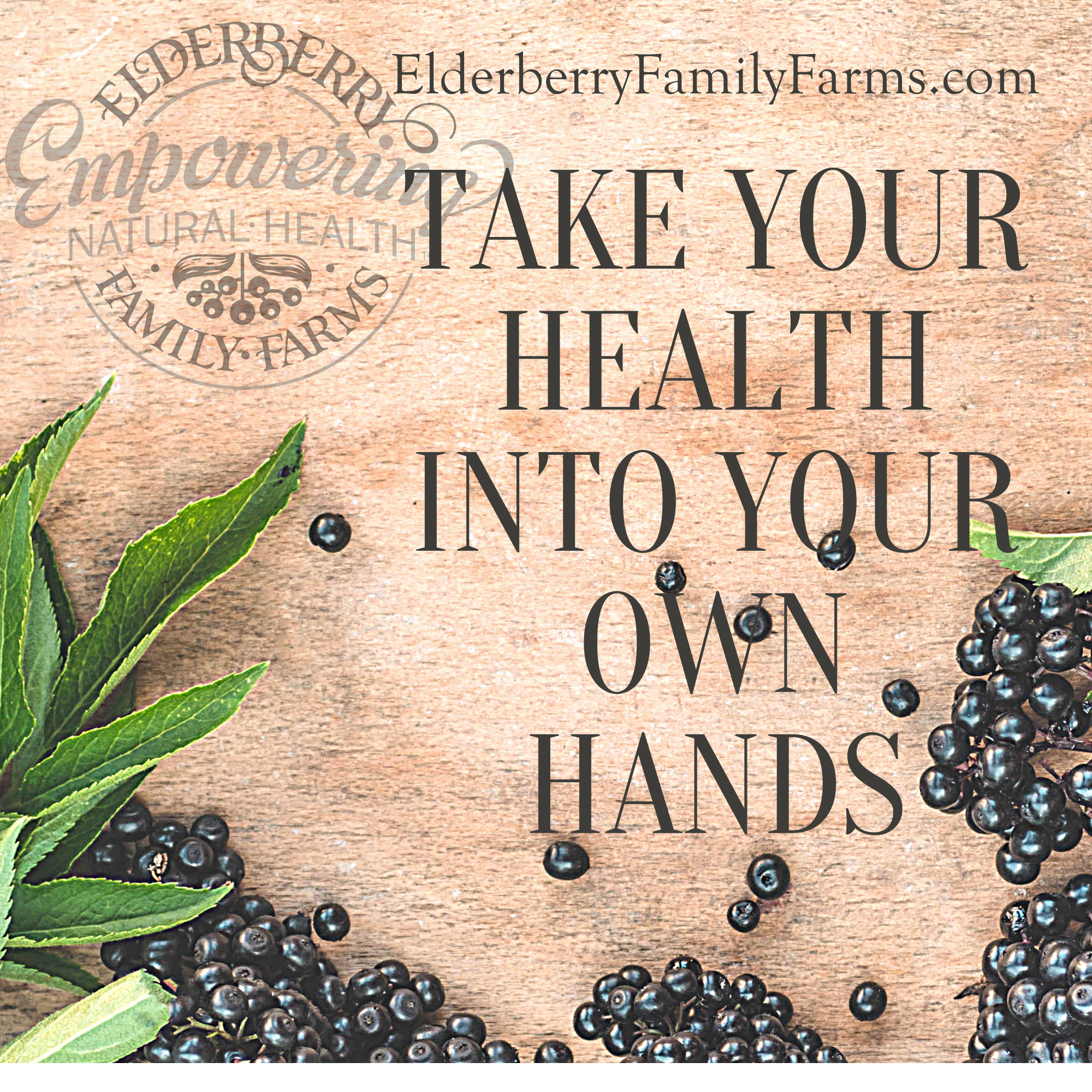 Elderberry Juice Powder - Image 3