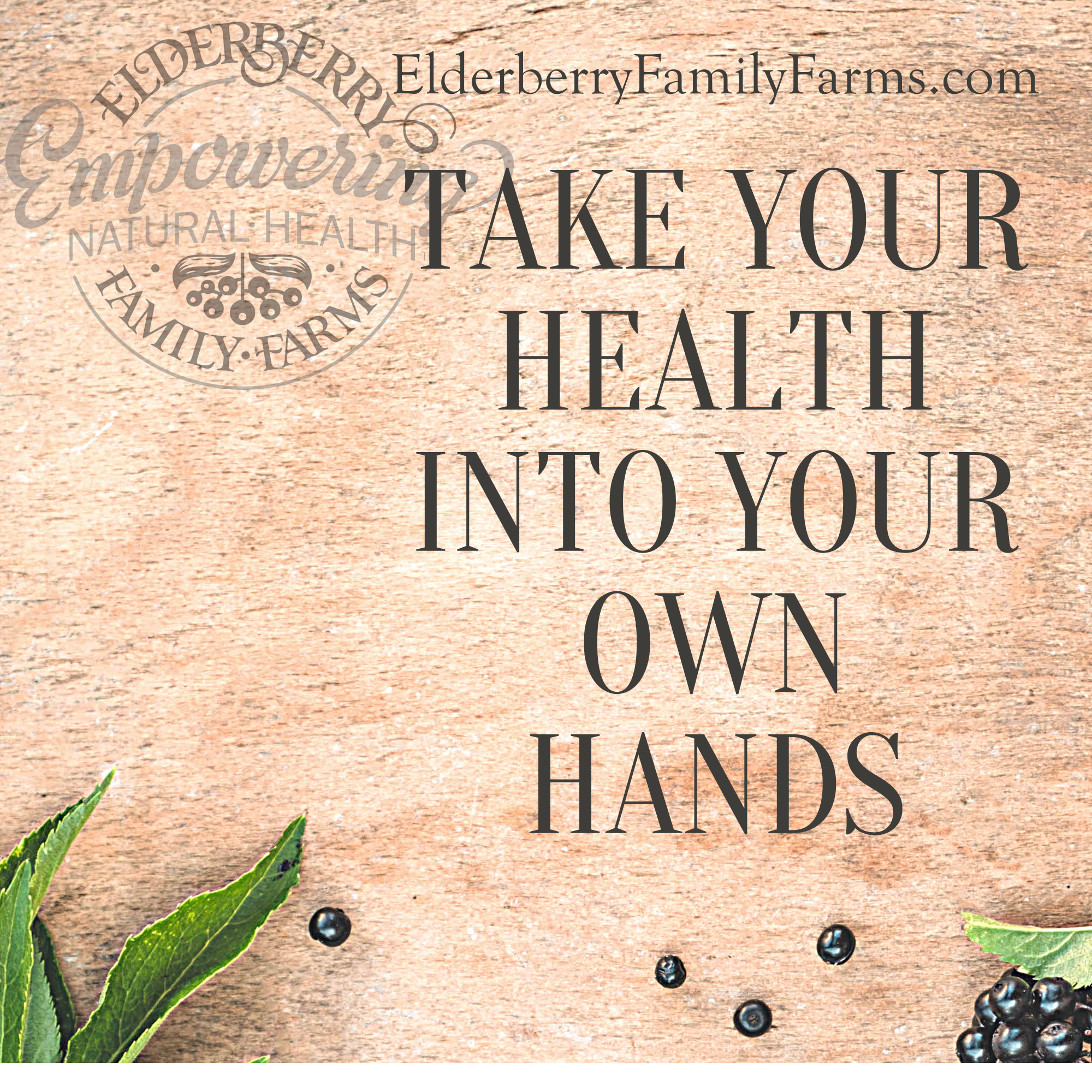 Elderberry Plus Cognitive Support - Image 2