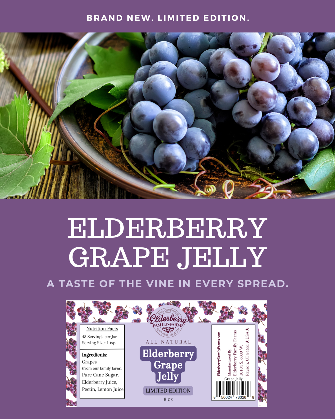 Elderberry Grape Jelly - Image 3
